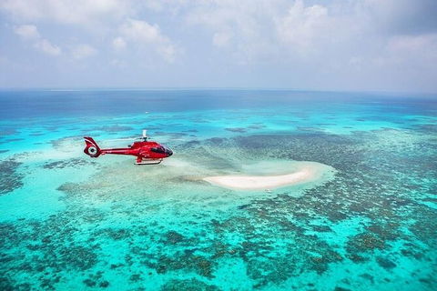 Day Tour To Kuranda, Rainforest And Port Douglas With Flight - Broome Tourism 2