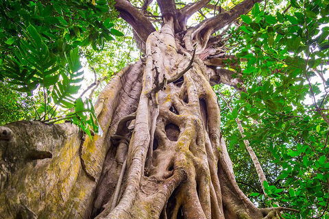 Mossman Gorge Adventure Day - Broome Tourism 5