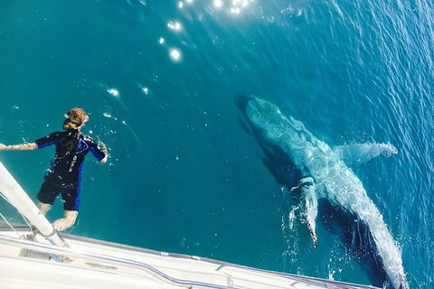 Remote Fraser Island & Whale Experience - Broome Tourism 4