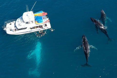 Remote Fraser Island & Whale Experience - Broome Tourism 3