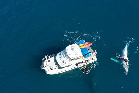 Remote Fraser Island & Whale Experience - Broome Tourism 1