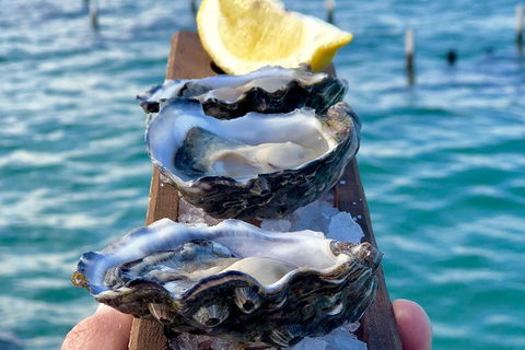 Coffin Bay Oysters, Ocean & Nature Tour - Broome Tourism 0
