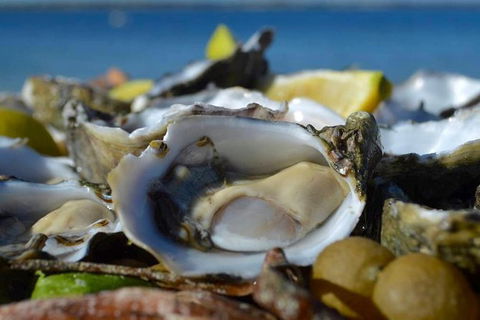 Coffin Bay Oysters, Ocean & Nature Tour - Broome Tourism 8