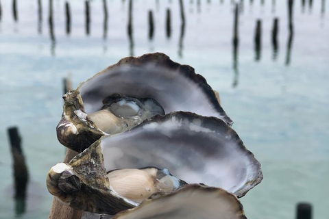 Coffin Bay Oysters, Ocean & Nature Tour - Broome Tourism 6