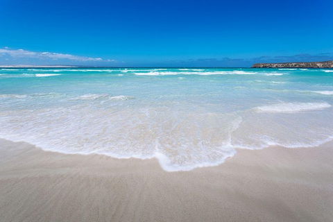 Coffin Bay Oysters, Ocean & Nature Tour - Broome Tourism 14