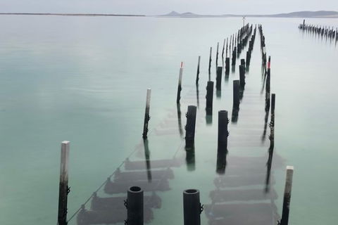 Coffin Bay Oysters, Ocean & Nature Tour - Broome Tourism 15
