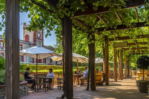 Yalumba Nursery & Grenache Discovery Tour + Platter Lunch - Broome Tourism 4