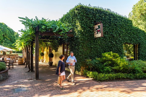 Yalumba Nursery & Grenache Discovery Tour + Platter Lunch - Broome Tourism 3