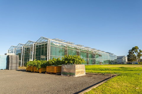 Yalumba Nursery & Grenache Discovery Tour + Platter Lunch - Broome Tourism 5