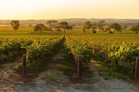 Yalumba Signature Tour - Broome Tourism 5