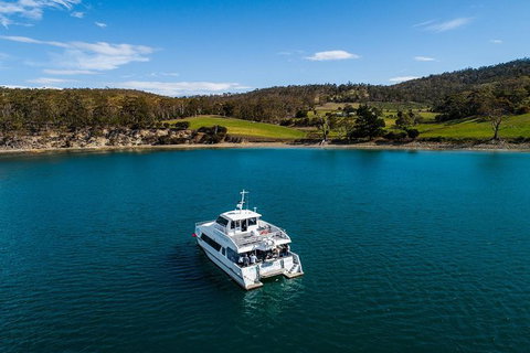 Deep-to-Dish: Tasmanian Seafood Experience - Morning Tour - Broome Tourism 4