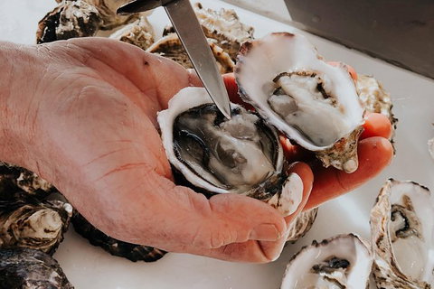 Deep-to-Dish: Tasmanian Seafood Experience - Morning Tour - Broome Tourism 5