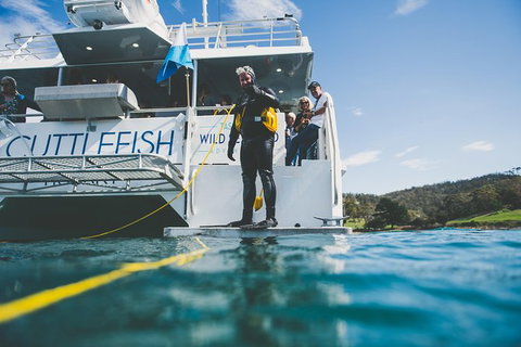 Deep-to-Dish: Tasmanian Seafood Experience - Morning Tour - Broome Tourism 11