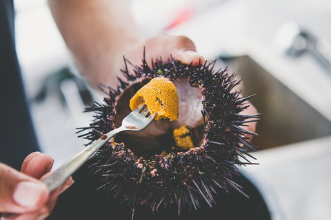 Deep-to-Dish: Tasmanian Seafood Experience - Morning Tour - Broome Tourism 9