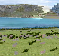 Cruise Ship Excursion Stanley - Broome Tourism