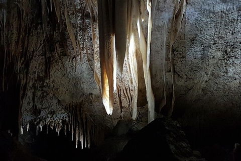 Shore Excursion: Coast, Caves And Wildlife Park - 8 Hour Tour - Broome Tourism 10