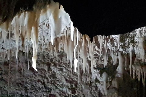 Shore Excursion: Coast, Caves And Wildlife Park - 8 Hour Tour - Broome Tourism 21