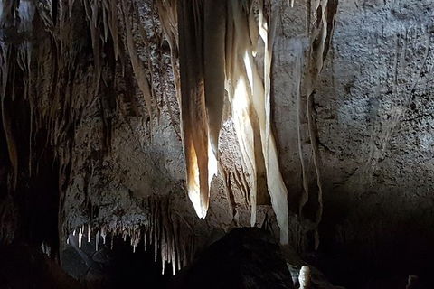 Shore Excursion: Coast, Caves And Wildlife Park - 8 Hour Tour - Broome Tourism 7
