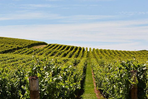 Launceston Wine & Sightseeing Tours - Broome Tourism 3