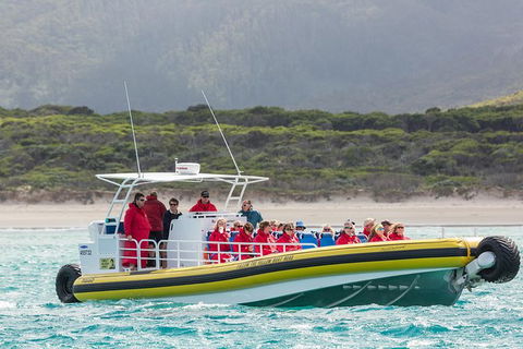 Wilsons Promontory Wilderness Cruise From Tidal River - Broome Tourism 2