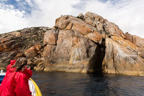 Wilsons Promontory Wilderness Cruise From Tidal River - Broome Tourism 4