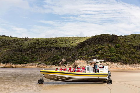 Wilsons Promontory Wilderness Cruise From Tidal River - Broome Tourism 1