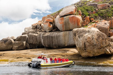 Wilsons Promontory Wilderness Cruise From Tidal River - Broome Tourism 5