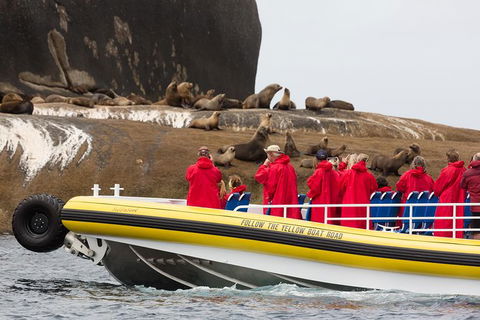 Wilsons Promontory Wilderness Cruise From Tidal River - Broome Tourism 3