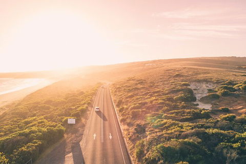 LGBT+ Friendly 2 Day Private Great Ocean Road Tour - Broome Tourism 1