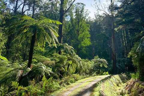 Hiking Tour To Aqueduct And Warburton Valley Lookout - Broome Tourism 1
