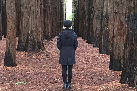 Private Aqueduct To California Redwoods Hiking Tour - Broome Tourism 1