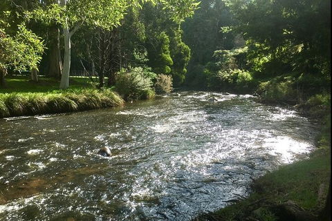 Watertube Experience In Yarra River - Broome Tourism 3
