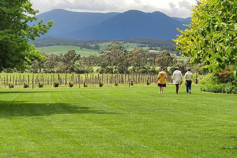 Yarra Valley Wine Tasting Day Tour From Melbourne - Broome Tourism 6