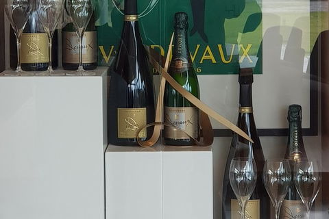 Yarra Valley Wine Tasting Day Tour From Melbourne - Broome Tourism 2