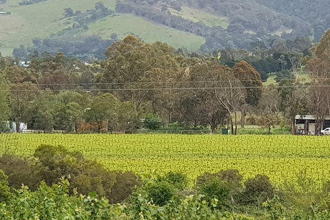 Day Tour Of Yarra Valley Puffing Billy And Rayners Orchard - Broome Tourism 44