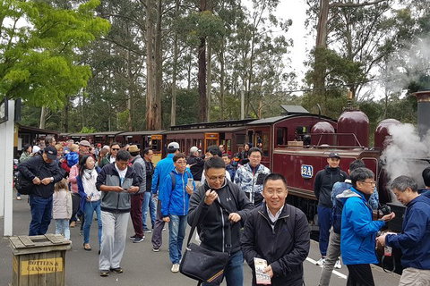 Day Tour Of Yarra Valley Puffing Billy And Rayners Orchard - Broome Tourism 3