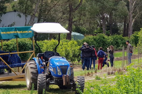 Day Tour Of Yarra Valley Puffing Billy And Rayners Orchard - Broome Tourism 10