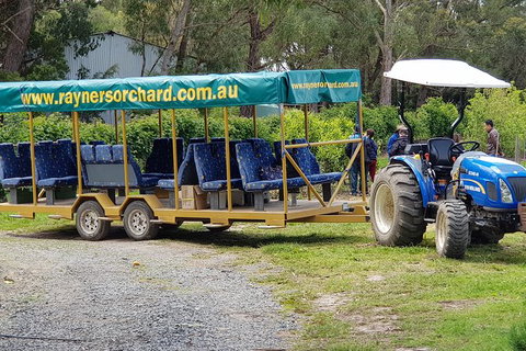 Day Tour Of Yarra Valley Puffing Billy And Rayners Orchard - Broome Tourism 48