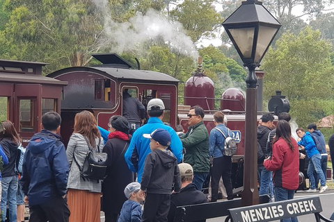 Day Tour Of Yarra Valley Puffing Billy And Rayners Orchard - Broome Tourism 40