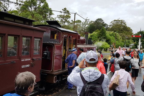 Day Tour Of Yarra Valley Puffing Billy And Rayners Orchard - Broome Tourism 23