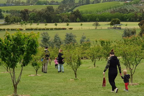 Day Tour Of Yarra Valley Puffing Billy And Rayners Orchard - Broome Tourism 36