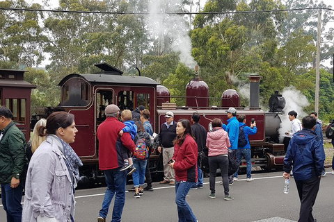 Day Tour Of Yarra Valley Puffing Billy And Rayners Orchard - Broome Tourism 4