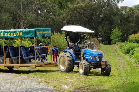 Day Tour Of Yarra Valley Puffing Billy And Rayners Orchard - Broome Tourism 25