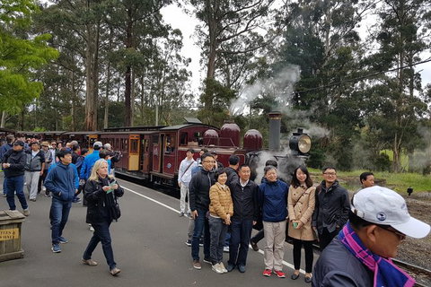 Day Tour Of Yarra Valley Puffing Billy And Rayners Orchard - Broome Tourism 9