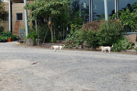 Day Tour Of Yarra Valley Puffing Billy And Rayners Orchard - Broome Tourism 21