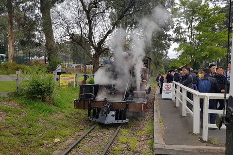 Day Tour Of Yarra Valley Puffing Billy And Rayners Orchard - Broome Tourism 43