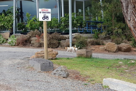 Day Tour Of Yarra Valley Puffing Billy And Rayners Orchard - Broome Tourism 2