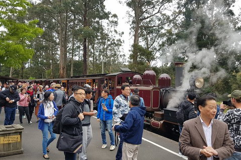Day Tour Of Yarra Valley Puffing Billy And Rayners Orchard - Broome Tourism 12