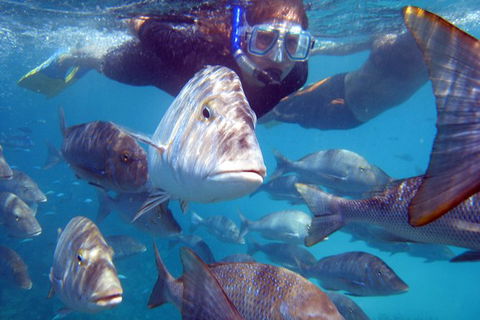 Coral Bay 2-Hour Coral Viewing And Snorkeling - Broome Tourism 0