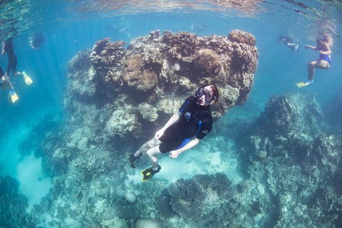 Coral Bay 2-Hour Coral Viewing And Snorkeling - Broome Tourism 3